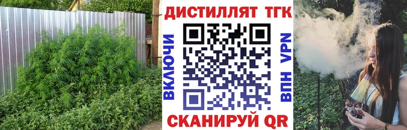 где найти   Отрадное  Дистиллят ТГК гашишное масло 